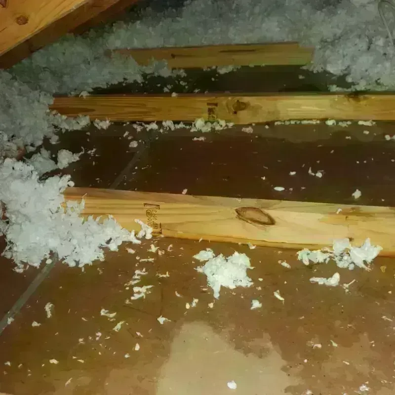 Attic Water Damage in Randolph County, AR